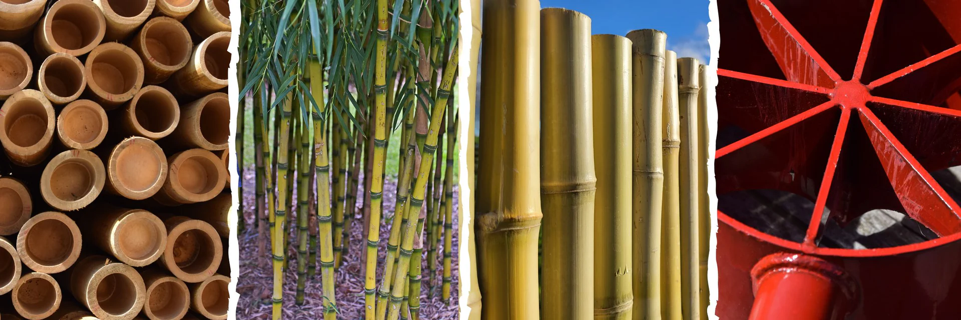 L'Excellence du Bambou chez Vous