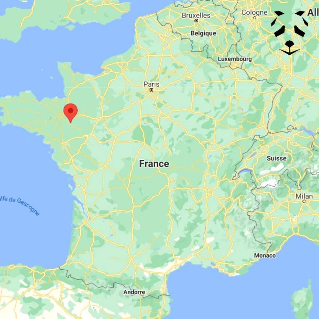 Image du produit 5